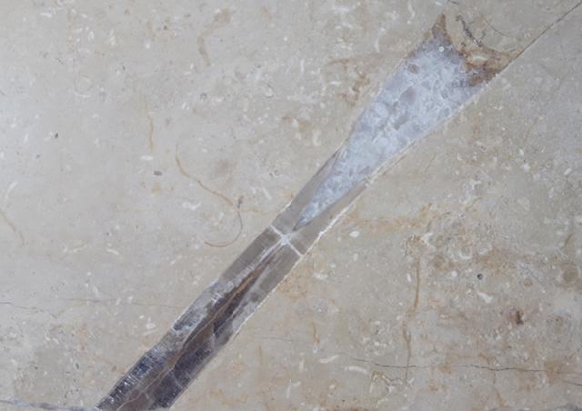 Hibolithes sp. (MONTFORT 1808) - Bild &copy; FossNet FossilienStore